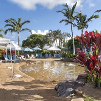 Poipu beach athletic club lagoon