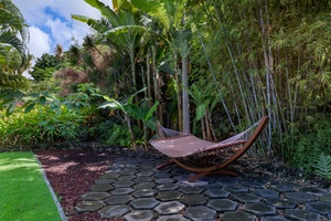 Backyard Hammock