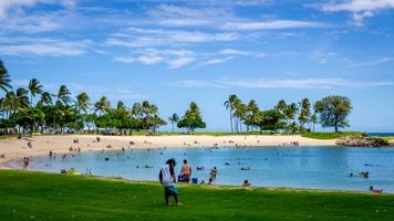 Playing in the tropical waters of Hawaii.