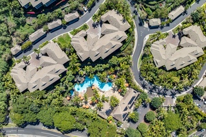 Aerial view of the Wailea Hoolei Resort pool, framed by towering palm trees and lush landscaping.