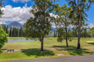 Scenic view of lush greenery and trees from the plantation porch.