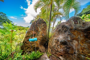 Playful touch of paradise with a hidden swing nestled among lava rocks and palms—ideal for photo moments or quiet reflection.