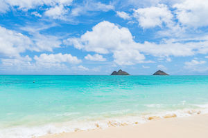 Just a short stroll away, Lanikai Beach offers turquoise waters and powder-soft sand—perfect for swimming, paddling, or sunbathing.