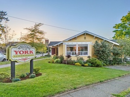 Enjoy a peaceful stay in this bright yellow cottage near downtown Bellingham adventures.