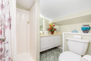 Loft ensuite with a wide vanity space & walk-in shower.