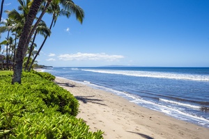 Take in the palm-lined coastline and sparkling ocean vistas from the backyard.