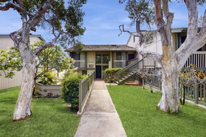 Pathway entrance to the building with mature trees.