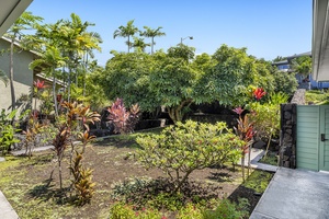 Lush tropical backyard with mature trees, vibrant foliage, and open garden space.