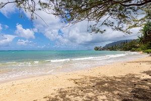 Walk to the beach in minutes for sunrise swims, shoreline strolls, or days soaking in the Pacific sun.
