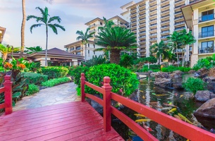 Take a leisurely stroll and enjoy the colorful fish in the Koi pond.