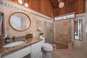 Guest bathroom with walk-in shower