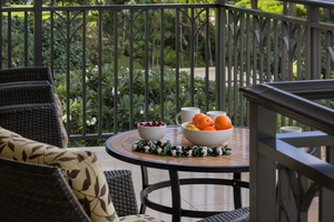 Relax on the lanai while enjoying the ocean view through the swaying palms