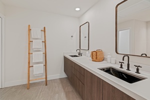 Modern ensuite bathroom with dual sinks and organic design touches.