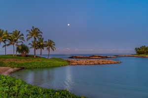 Tropical moonrise over protected lagoon with swaying palms and peaceful waters nearby.