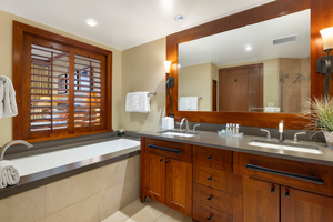 Primary bathroom with soaking tub and walk-in shower