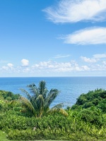 Oceanviews from Lanai