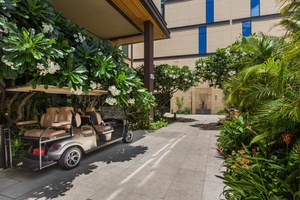 Golf Cart Amenity Use for Residents