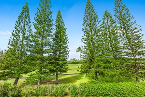 Take in this beautiful view from your private lanai.