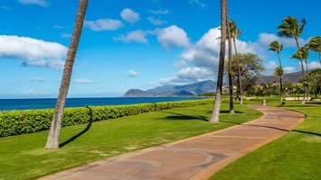 A paved pathway along the lush green lawn.