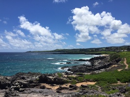 This scenic coastal view captures the rugged beauty of the shoreline, where the vibrant blue waters meet rocky outcrops and gentle greenery.