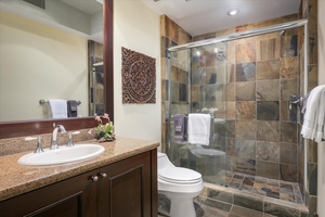 Guest bathroom with stone tile walk-in shower and granite vanity—luxurious yet practical.