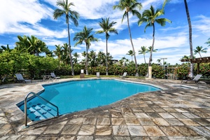 Family-friendly pool surrounded by tropical greenery and swaying palms.
