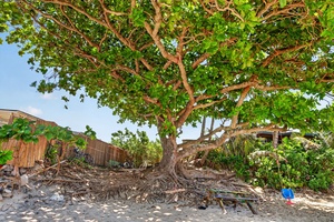 Relax beneath the shade of coastal trees after mornings spent by the ocean.