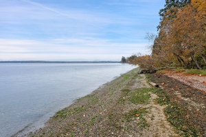 Explore the ever-changing tide line—perfect for beachcombing, bird-watching, and reconnecting with nature.