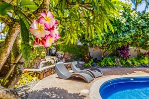 Just by the waterfall, you'll find two additional loungers.