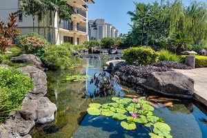 Idyllic koi pond surrounded by lush foliage.