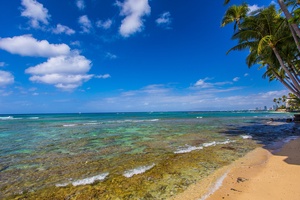 Steps to some of the most famous south shore surf spots! Great snorkeling areas too!