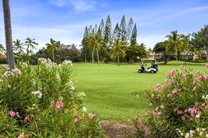 Tropical golf course with lush green fairways, swaying palms, and colorful flowering plants creating a pristine island paradise setting.