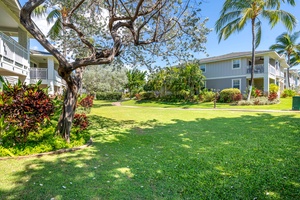 Lush green views in the backyard.