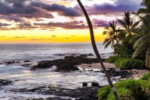Oceanfront view framed by swaying palms at dusk.