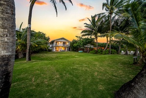 Expansive green lawn nestled beneath island palms.