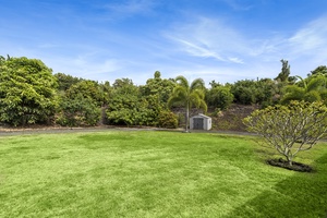 Expansive yards on both sides of the home