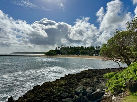 Coastal views with waves and lush greenery.
