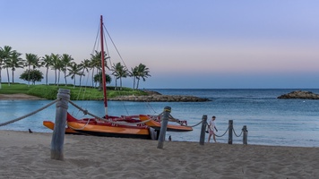 Walk along the shores of paradise.