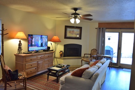 Living room with Smart TV and gas fireplace