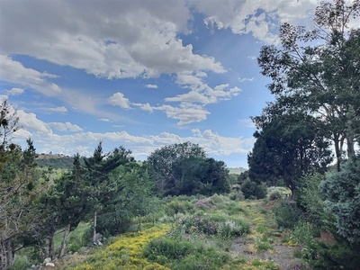 Beautiful grounds full of wildflowers and trees in summer