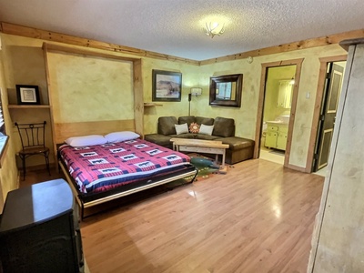 Living Area with Murphy Bed Open and Full Guest Bath