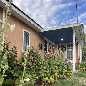 The front of the home in Summer, bordered with Hollyhocks