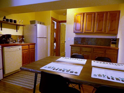 Dining Table and Kitchen