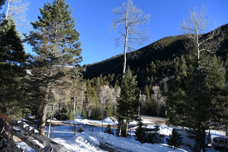 Winter mountain view