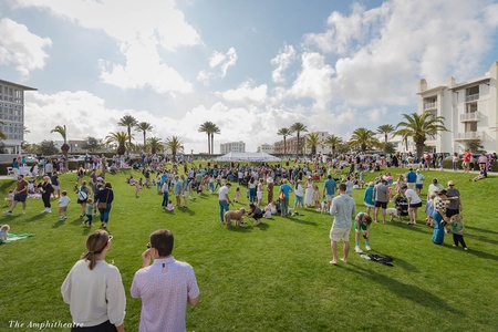 A vibrant outdoor event space featuring palm trees and community gathering area surrounded by coastal buildings.