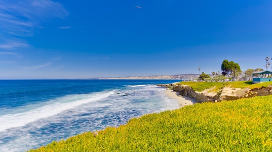 Windansea Beach stretch and water view from the grass