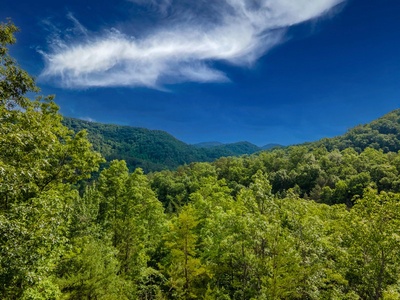 DJI_0960-HDR copy
