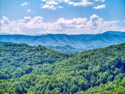 Gorgeous Views