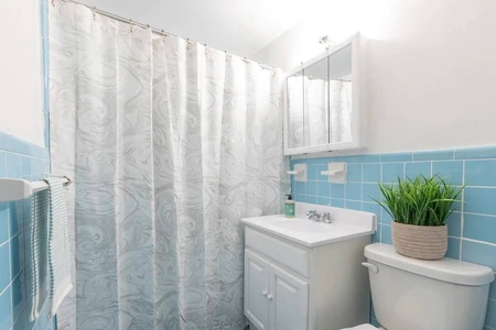 Your bright bathroom features cheerful blue tiles and fresh greenery, creating a refreshing space to start your day.