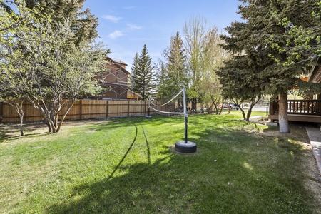 Mini-Papa Bear Lodge-Front Yard Area with Volleyball Net (SE)